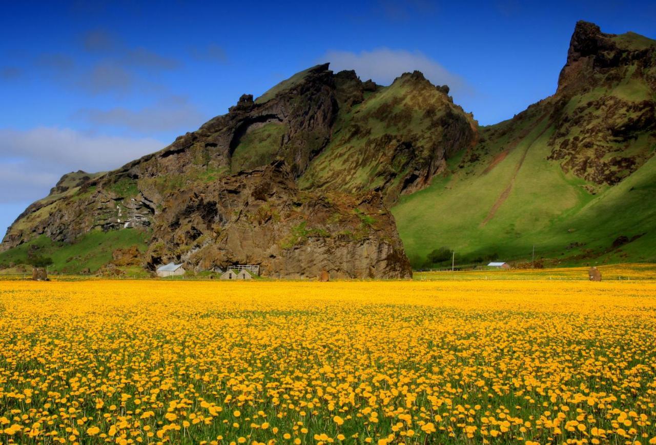 Cozy Cottage By Stay In Iceland Hvolsvöllur Cameră foto